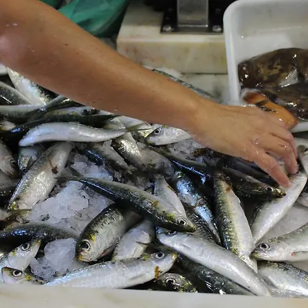 Casa Dos Coelhos Ii * Barao de Sao Joao