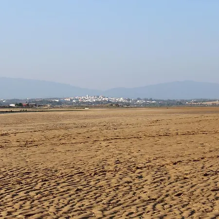 Casa Dos Coelhos Ii *